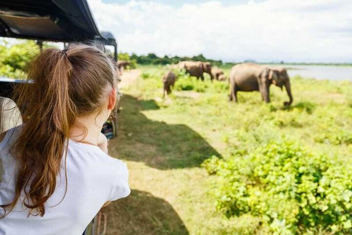 Exploring the wildlife of Udawalawe National Park